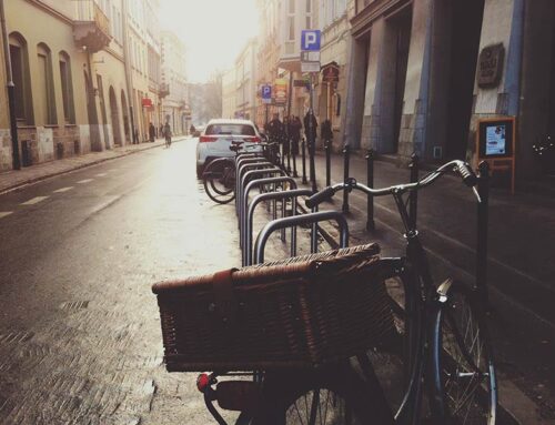 زیبایی تور با دوچرخه