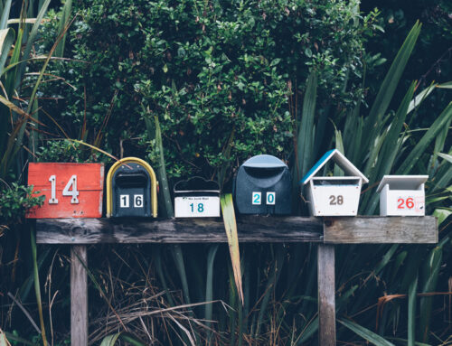 سلامتی مسافران در افریقا